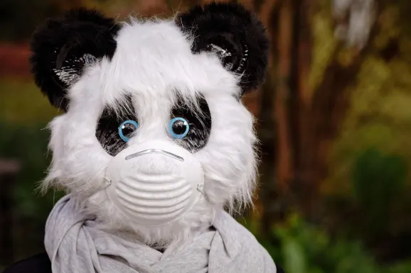 Thunderbolt Cazino Cazinou Suport